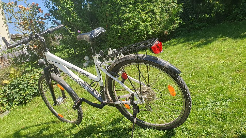 Fahrrad verkaufen RALEIGH Creek stone Ankauf